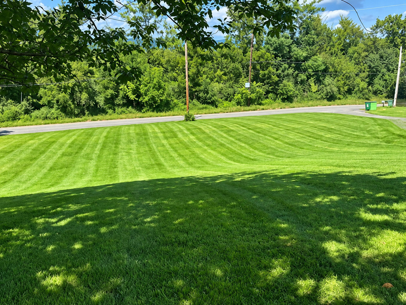 A large lawn mown in bold, even stripes running down toward the road frontage