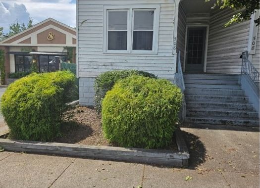 Shrubs cut back and reshaped into three neat round forms in front of a building entry, the walk and sign cleared