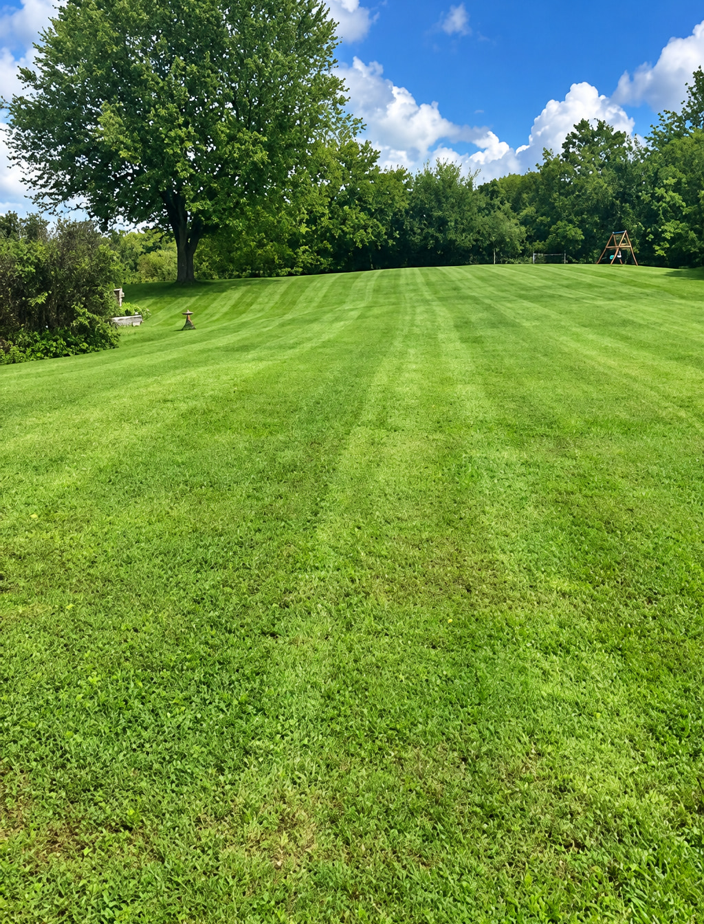 A sloping lawn mown in even stripes running up toward a treeline under a blue sky
